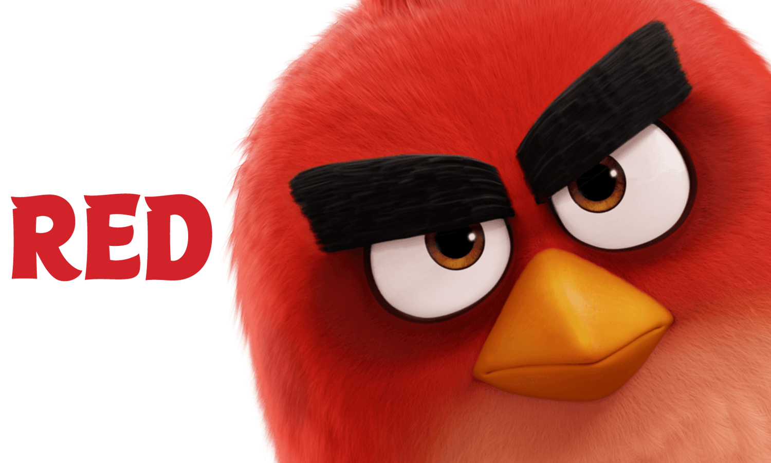 ‘the Angry Birds Movie Soars High Internationally Social News Xyz