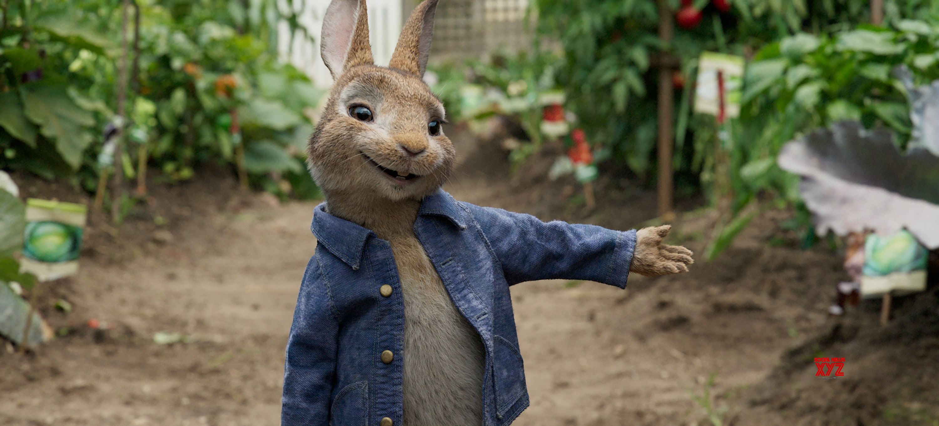 Peter Rabbit Movie Stills - Social News XYZ