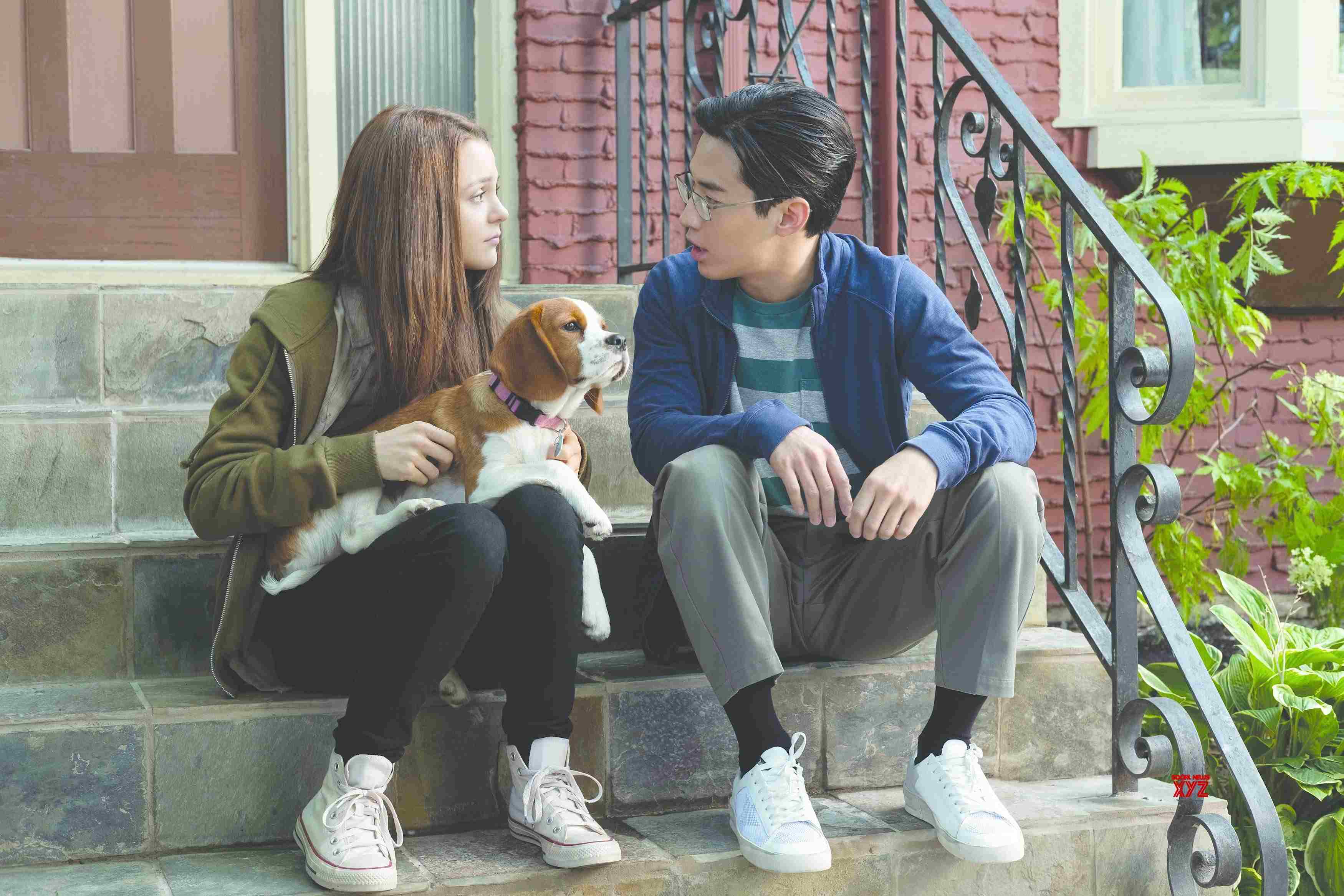 a-dog-s-journey-movie-hd-stills-social-news-xyz