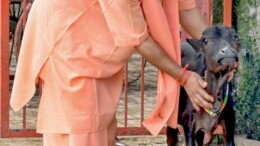 Gorakhpur: Uttar Pradesh Chief Minister Yogi Adityanath performs 'gau seva' in the cowshed located within the Gorakhnath Temple premises in Gorakhpur on Friday, October 04, 2024. (Photo: IANS/@GorakhnathMndr)