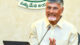 NDA’s victory reflects people’s growing confidence in PM’s leadership: CM Chandrababu Naidu