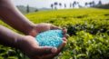 India agrees to supply fertiliser as Nepal faces shortage