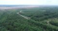 Adani Group transforms Chhattisgarh’s Surguja mine into green landscape with 1.6 million trees