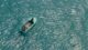 Six Andhra fishermen presumed dead; search operation called off