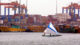 Vizag Port handled 50 pc of India’s seafood exports in FY2025