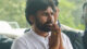 Pawan Kalyan orders use drones to monitor movement of wild elephants