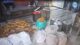 H-FAST seize 36 tonnes adulterated ghee during raids in Hyderabad
