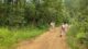 CRPF jawan injured in gunfight, houses torched in Manipur’s Senapati