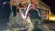 Six killed as bus rams into truck in Telangana